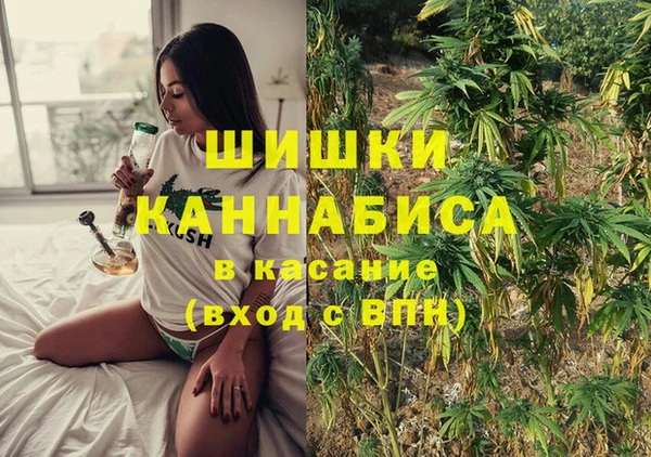 прущая мука Гусиноозёрск